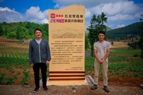 “拼多多”扶貧打造網(wǎng)紅水果，扶貧政策全民助力