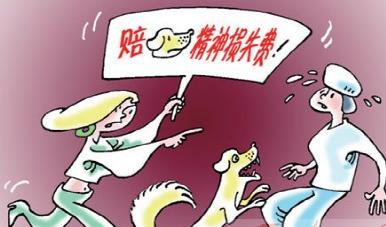 廣州離婚律師,精神損害